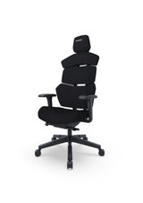 RECARO Nxt Raven