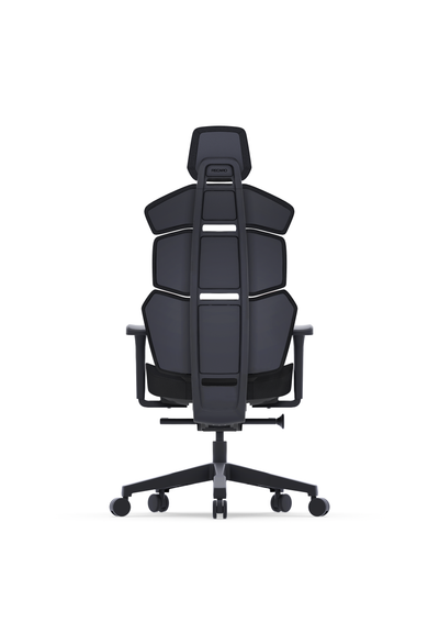 RECARO Nxt Shadow