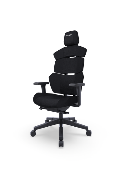 RECARO Nxt Shadow