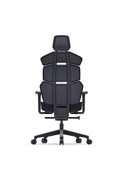 RECARO Nxt Raven