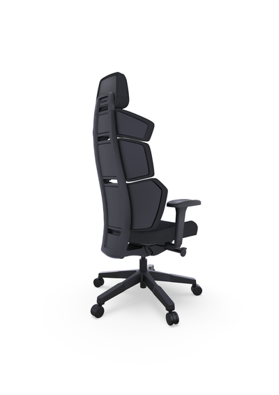RECARO Nxt Raven